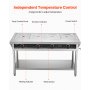 4-Pan Commercial Food Warmer Steam Table with Independent Temperature Control