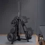 VEVOR Weight Plate Rack, Weight Plate Tree for 2-Inch Weight Plates, Standard Weight Plate Tree, 300 lbs Load Capacity Weight Storage Holder, Home Gym Barbell Rack Storage Stand, Black