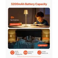 Cordless Table Lamp 2-Pack 5200mAh Built-in Rechargeable Battery Desk Lamp Gold