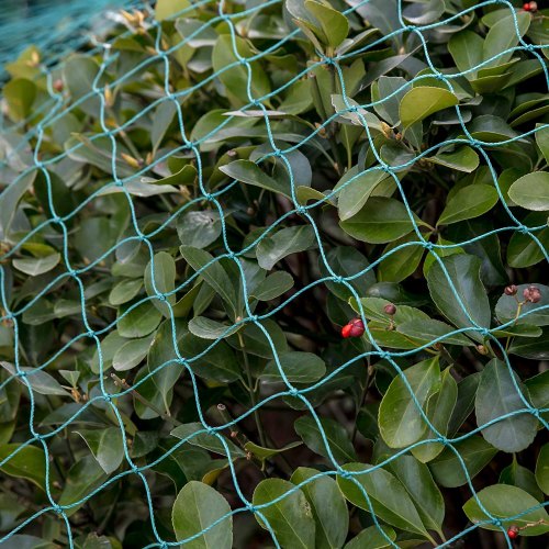 Vevor Bird Netting Garden Netting 25x100ft Poultry Netting 2in Grid Green