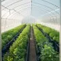 VEVOR - Lona de plástico resistente de 24' x 100', rollo de 6 milésimas de pulgada de grosor, lona protectora de plástico para pintores, cubierta de polietileno para barrera de vapor en espacios de acceso, multiusos, color negro