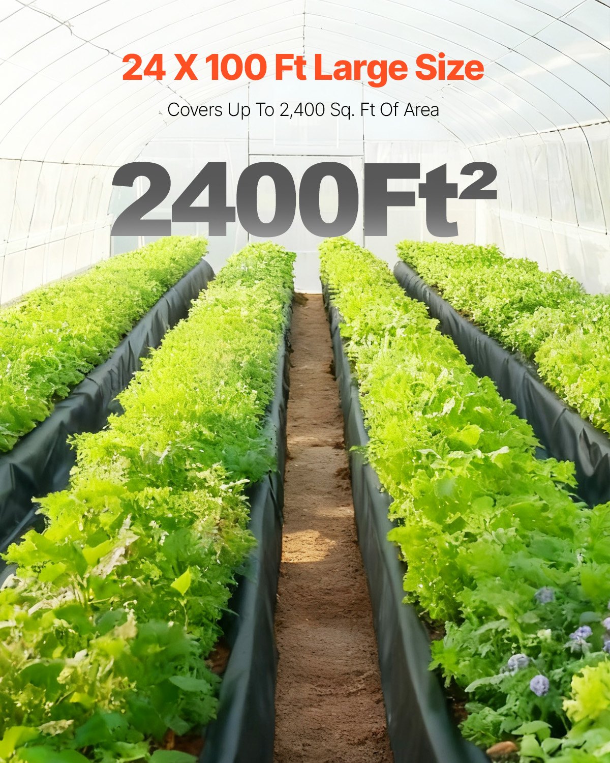 VEVOR 24' x 100' Plastic Sheeting Heavy Duty , 6 Mil Thick Plastic Sheeting Roll, Plastic Drop Cloth Painters Tarp, Polyethylene Covering for Crawl Space Vapor Barrier, Multi-Purpose, Black