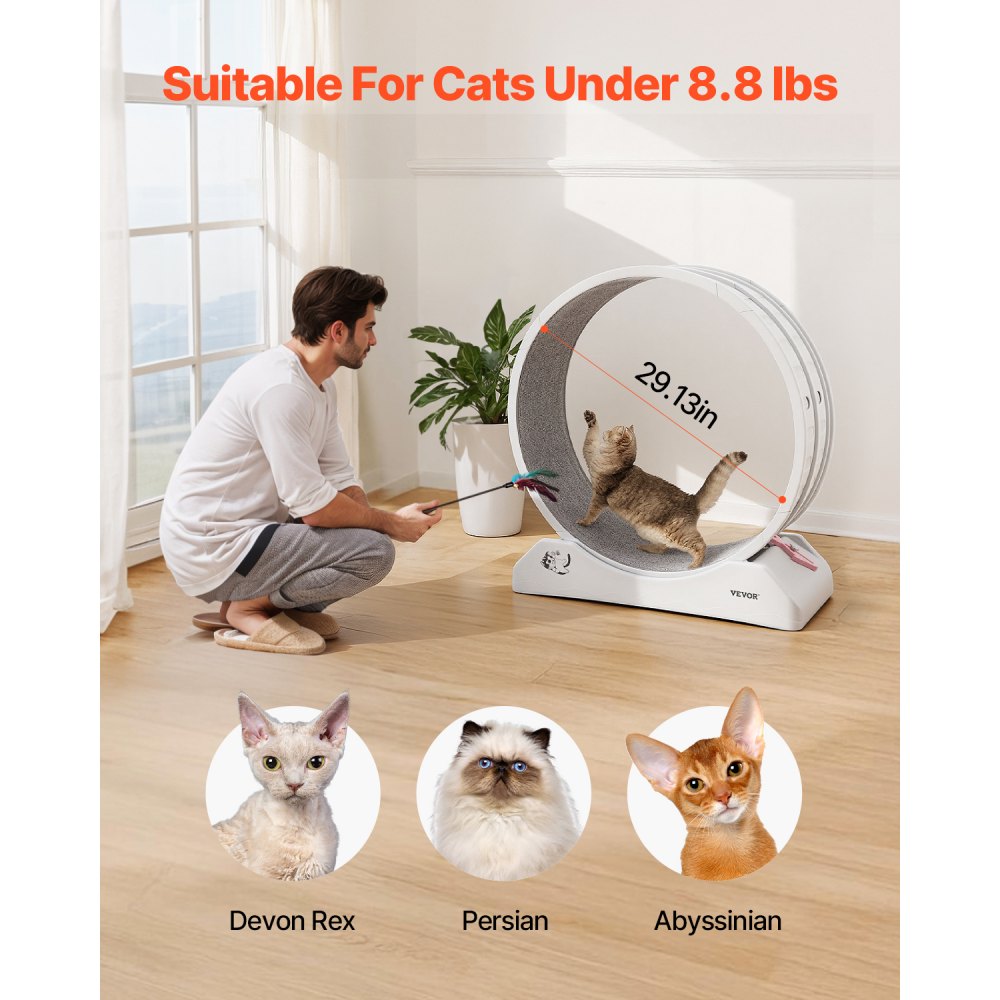 VEVOR Cat Exercise Wheel, 31.5 in, Large Cat Running Wheel with Secure Brake & Carpeted Runway, Quiet Operation Cat Treadmill, Indoor Cats Exerciser Wheel for Pets Weight Loss & Health White