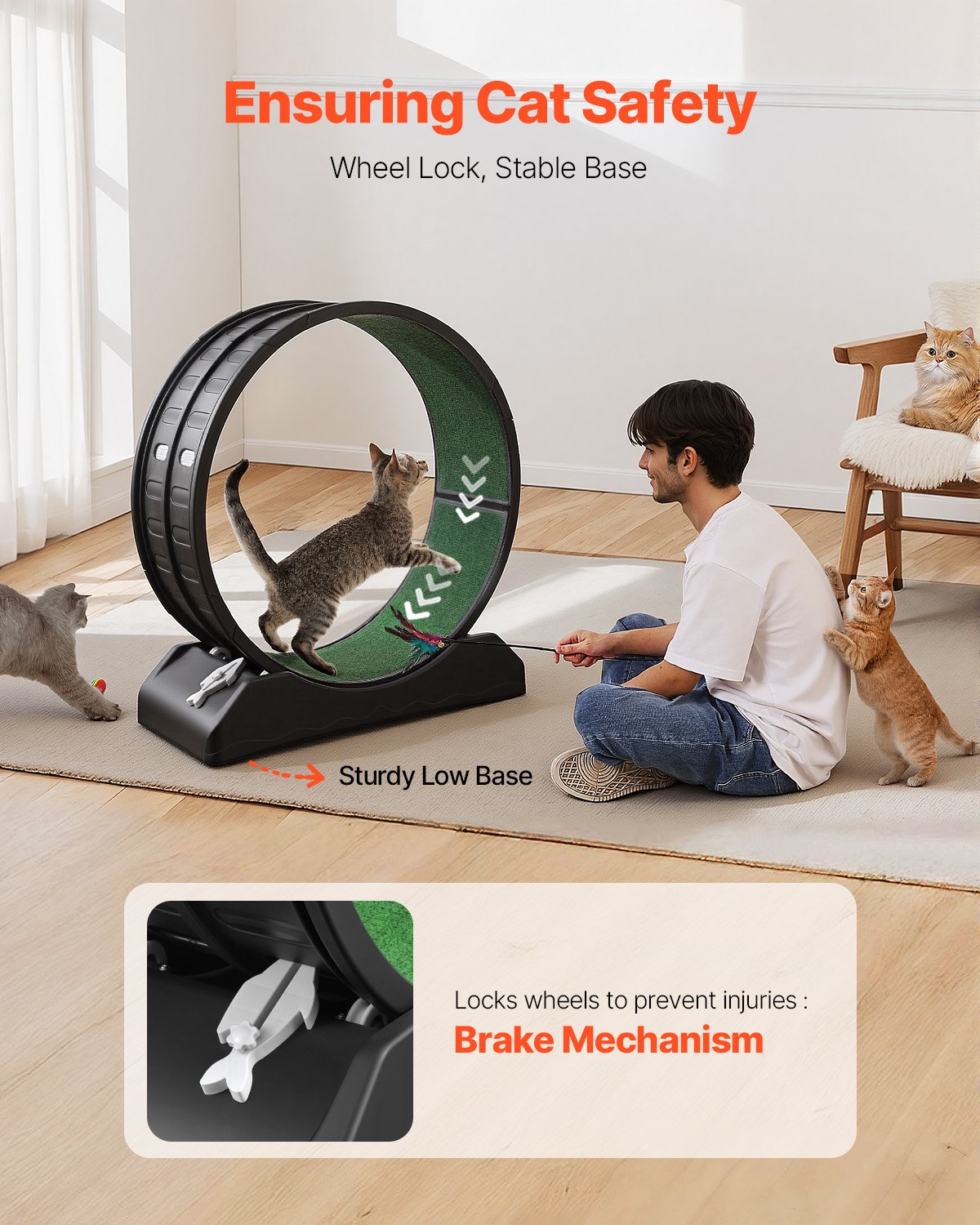 VEVOR Cat Exercise Wheel, 31.5 in, Large Cat Running Wheel with Secure Brake & Carpeted Runway, Quiet Operation Cat Treadmill, Indoor Cats Exerciser Wheel for Pets Weight Loss & Health Black