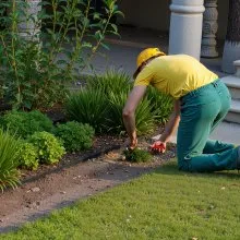 VEVOR Landscape Edging Border 10Pcs 6 ft x 1.6 in Plastic Garden Edging No Dig