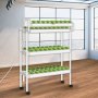 VEVOR Hydroponics Growing System, 90 Sites 10 Food-Grade PVC-U Pipes, 3 Layers Indoor Planting Kit with Water Pump, Timer, Nest Basket, Sponge, for Fruits, Vegetables, Herbs, White