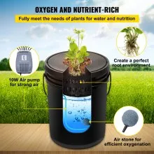 VEVOR DWC Hydroponic System, 5 Gallon 5 Buckets, Deep Water Culture Growing Bucket, Hydroponics Grow Kit with Pump, Air Stone and Connected Reservoir, for Indoor/Outdoor Leafy Vegetables