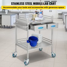 VEVOR 2-lagers medicinsk vagn för labb med 2 lådor i rostfritt stål rullvagn för labmedicinsk utrustning för labbsjukhuskliniker