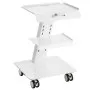 VEVOR Lab Trolley, 3-Layer Rolling Lab Cart, Metal Mobile Trolley with Swivel Wheels, Tray Rolling Clinic Cart 100 kg Weight Capacity, for Lab, Clinic, Beauty and Salon