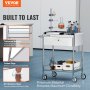 VEVOR Medical Cart, 2 Layers Stainless Steel Cart 100 kg Weight Capacity, Lab Utility Cart with 360° Silent Wheels and a Drawer for Lab, Clinic, Kitchen, Salon