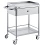 VEVOR Medical Cart, 2 Layers Stainless Steel Cart 100 kg Weight Capacity, Lab Utility Cart with 360° Silent Wheels and a Drawer for Lab, Clinic, Kitchen, Salon