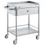 VEVOR Medical Cart, 2 Layers Stainless Steel Cart 220 lbs Weight Capacity,  Lab Utility Cart with 360° Silent Wheels and a Drawer for Lab, Clinic, Kitchen, Salon