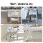 VEVOR Medical Cart, 2 Layers Stainless Steel Cart 99.8 kg Weight Capacity, Lab Utility Cart with 360° Silent Wheels and a Drawer for Lab, Clinic, Kitchen, Salon