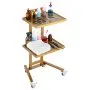 VEVOR 2 Tiers Stainless Steel Lab Carts with 2 Trays & 4 Silent Wheels Golden