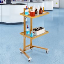 VEVOR 2 Tiers Stainless Steel Lab Carts with 2 Trays & 4 Silent Wheels Golden, Lab Serving Cart Utility Cart Stainless Steel Medical Cart, Lab Carts with 2 Drawers & Top Tray, Lab Rolling Cart for Lab, Clinic, Hospital, Salon, Office