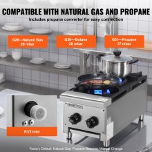 VEVOR Commercial Gas Range Stove 2 Burners Countertop Cooking Hot Plate Kitchen