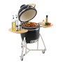VEVOR Portable Charcoal Grill, Propane Gas Grills with Cover and Cart, Heavy Duty Stainless Steel BBQ Grill, Mini Smoker for Outdoor Cooking, Barbecue Camping, Picnic, and Backyard, Black