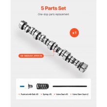 LS Truck Cam Kit with Pushrods Springs Seals 1999-2013 GM Gen3/4 Norris