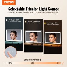 VEVOR Lighted Makeup Mirror 3 Color w/ Bluetooth USB Desktop Wall-mount 21.7in