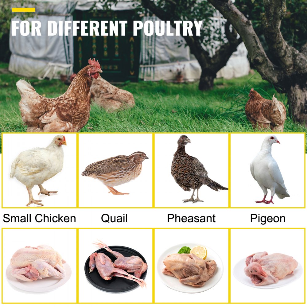 VEVOR chicken plucker for various poultry including small chicken, quail, pheasant, pigeon.