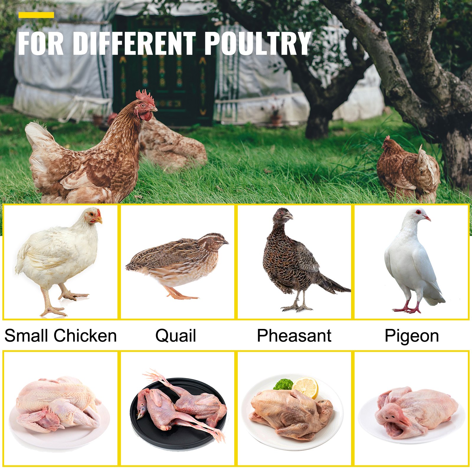 VEVOR chicken plucker for various poultry including small chicken, quail, pheasant, pigeon.