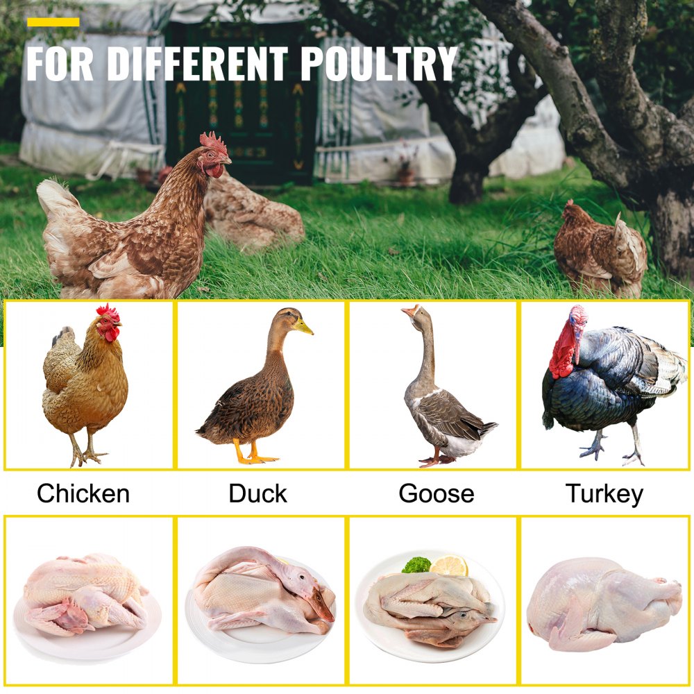 VEVOR Chicken Plucker Drill Attachment, Stainless Steel Drill Chicken Plucker, 18 Fingers Chicken Feather Plucker Machine, 0.4 Inches Shank Poultry Defeathering Machine for Broiler Goose Duck Turkey