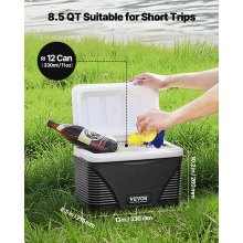 Portable Cooler 8.5 QT Insulated Hard Cooler 12 Can Capacity with Handles