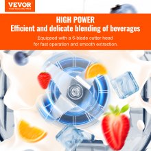 VEVOR Professional Blender with Shield, Commercial Countertop Blenders, 2L Jar Blender Combo, Stainless Steel 9 Speed & 5 Functions Blender, for Shakes, Smoothies, Peree, and Crush Ice, Black