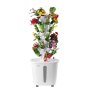VEVOR Hydroponic Growing System, 30 Pods Vertical 6 Tiers Hydroponic Tower, Home Hydronic Garden with Water Pump & Timer, Water Circulation Plants Germination Kit for Indoor Herbs Fruits & Vegetables
