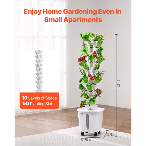 palm plant indoor Palm Parlor Neanthe Bella Palm, Live Plant Indoor Air Purifier