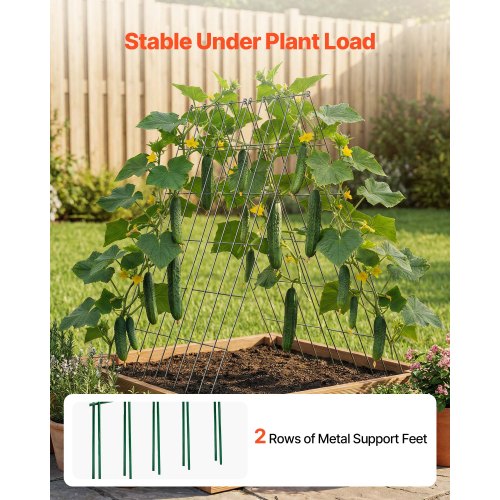 VEVOR Cucumber Trellis 4 Pack, A-Frame Garden Trellises for Raised Bed,  Metal Rustproof Coating Plant Support for Vine, Climbing Plants, Peas,  Beans, Zucchini, Tomato, Flower (38.98 x 15.75 in x 4PCS) | VEVOR US