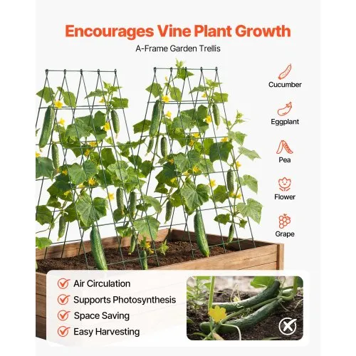VEVOR Cucumber Trellis 4 Pack, A-Frame Garden Trellises for Raised Bed,  Metal Rustproof Coating Plant Support for Vine, Climbing Plants, Peas,  Beans, Zucchini, Tomato, Flower (38.98 x 15.75 in x 4PCS) | VEVOR US