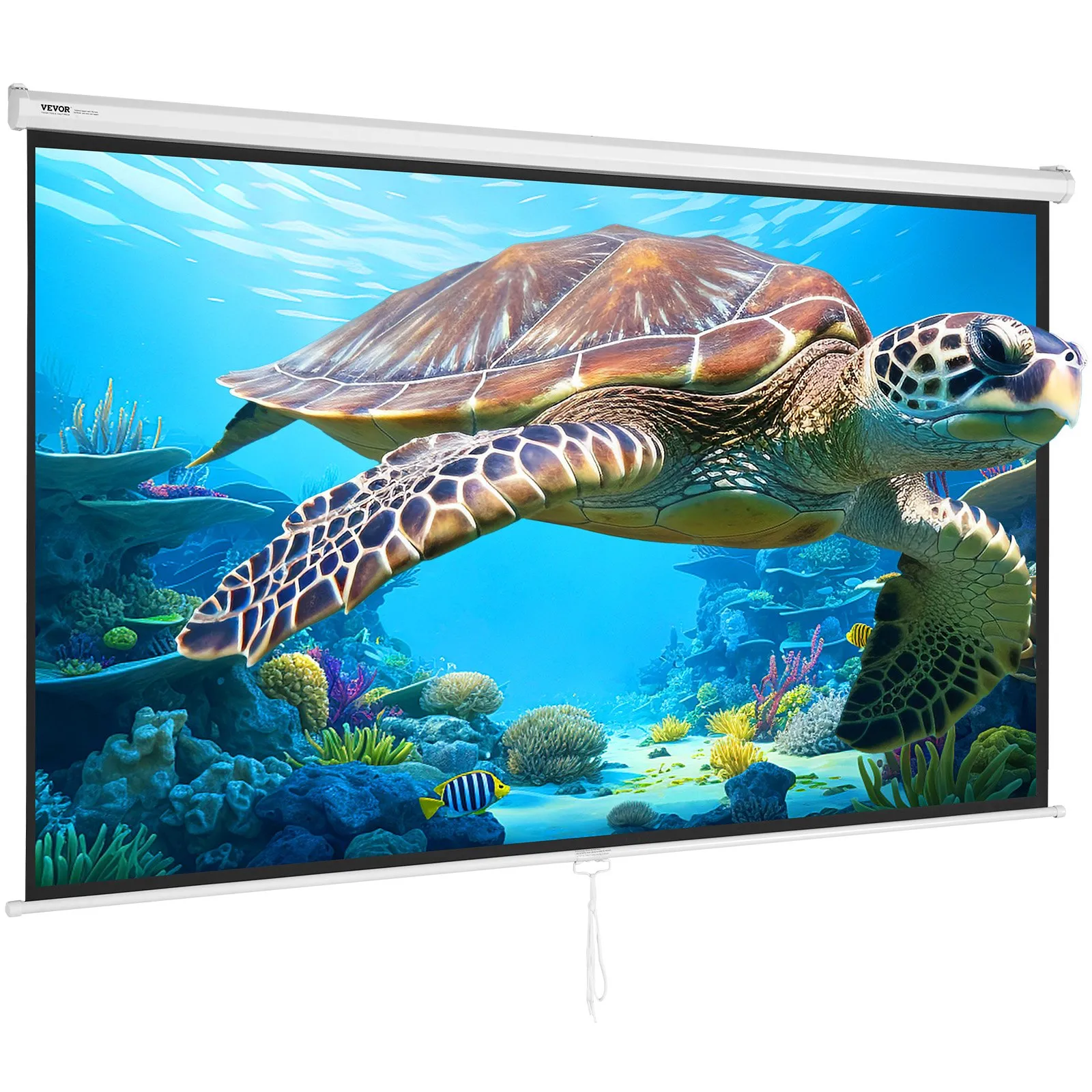 VEVOR projector screen displaying a vibrant underwater scene with a sea turtle and coral reefs.
