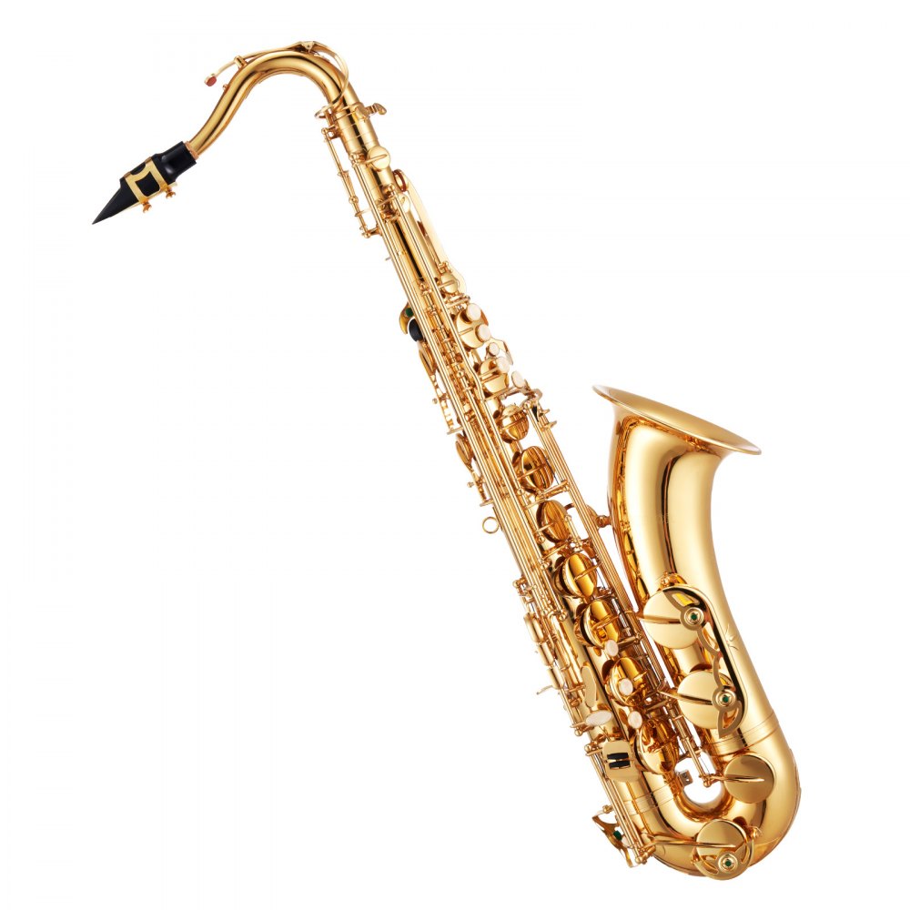 VEVOR Tenor Saxophone, B Flat, Professional Brass Saxophone Beginner Kit with Carrying Case, Mouthpiece, Straps, Cleaning Cloth, Gloves, Neck Strap, 23 Keys Tenor Sax Kit, for Beginners Students, Gold