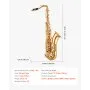 VEVOR Tenor Saxophone, B Flat, Professional Brass Saxophone Beginner Kit with Carrying Case, Mouthpiece, Straps, Cleaning Cloth, Gloves, Neck Strap, 23 Keys Tenor Sax Kit, for Beginners Students, Gold
