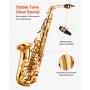 Gold Brass Alto Saxophone Eb E Flat Sax Beginner Kit with Case Straps Mouthpiece