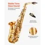 VEVOR Alto Saxophone, E Flat, Brass Saxophone Beginner Kit with Carrying Case, Mouthpiece, Straps, Cleaning Cloth Rod, Gloves, Grease, Neck Strap, 23 Keys Alto Sax Kit, for Beginners Students, Gold