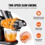 VEVOR Slow Masticating Juicer, 2-Speed Mode Cold Press Juicer Machine with Reverse Function, Quiet Motor Slow Juicer, Juice Extractor Maker Easy to Clean with Brush, for High Nutrient Fruit Vegetable