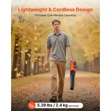 VEVOR Cordless Leaf Blower, 20V Powerful Electric Leaf Blower with 2.0Ah Battery, Fast Charging & Quiet Operation, 2 Speed Control, 450 CFM/110 MPH Lightweight Powered Blowers for Leaves Lawn Care