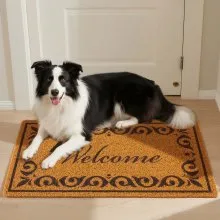 VEVOR Door Mat, Welcome Doormat for Outdoor Entrance, 29.5" x 17" All-Weather Faux Coir Entryway Mat with Non-Slip Backing, Low-Profile & Easy-to-Clean Front Door Mats for Garage, Backyard, Patio