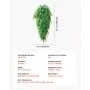VEVOR Artificial Ferns, 12 Pcs Fake Hanging Boston Fern Bush Plant with 813 mm Hanging Length, Plastic Faux Greenery for Indoor/Outdoor Decor, For Wall, Wedding Party, Home, Porch Garden, No Basket
