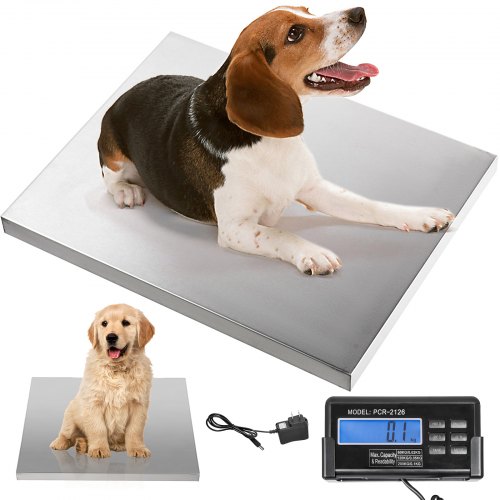 VEVOR Digital Livestock Scale 400Lbs x 0.2Lbs Pet Vet Scale Stainless Steel Large Platform Postal Shipping Scale Industrial Floor Scale dog Scale for Busniess Office Home Warehouse Package Lugggage