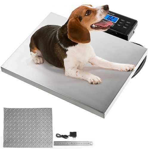 VEVOR Digital Livestock Scale 400Lbs x 0.2Lbs Pet Vet Scale Stainless Steel Large Platform Postal Shipping Scale Industrial Floor Scale dog Scale for Busniess Office Home Warehouse Package Lugggage