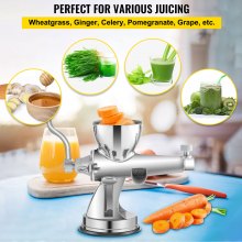 VEVOR Manual Wheatgrass Juicer Stainless Steel Hand Crank Wheatgrass Juicer Hand Wheatgrass Grinder with Suction Cup Base & Table-top Clamp Manual Juicer Extractor for Ginger Celery Apple Grape, etc.