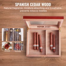 VEVOR Cigar Humidor, Glass Top Cigar Humidor Box, Handmade Spanish Cedar Wood Cigar Desktop Box, Cigar Storage Case with Humidifier, Hygrometer and Divider, 10-25 Cigars, Great Gift for Men