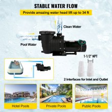 Swimming Pool Pump 1HP, Dual Voltage 110V 220V, 5544GPH, Powerful Pump for Above Ground Pool Water Circulation, with Strainer Basket, 2pcs 1-1/2'' NPT Connectors Tested to UL Standards