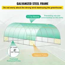 VEVOR Walk-in Tunnel Greenhouse, 20 x 10 x 7 ft Portable Plant Hot House w/ Galvanized Steel Hoops, 3 Top Beams, Diagonal Poles, 2 Zippered Doors & 12 Roll-up Windows, Green