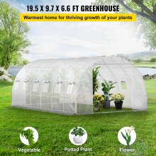 VEVOR Walk-in Tunnel Greenhouse Galvanized Frame Waterproof Cover 20x10x7 ft