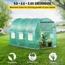 VEVOR Walk-in Tunnel Greenhouse, 9.8 x 6.6 x 6.6 ft Portable Plant Hot House w/ Galvanized Steel Hoops, 1 Top Beam, 2 Diagonal Poles, 2 Zippered Doors & 6 Roll-up Windows, Green