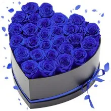 VEVOR Forever Flowers, 27 Preserved Roses in a Heart Shape Box, Eternal Flowers Immortal Bouquet Birthday Present for Women Her Wife Mothers, Anniversary, Valentine's Day,Christmas, Royal Blue